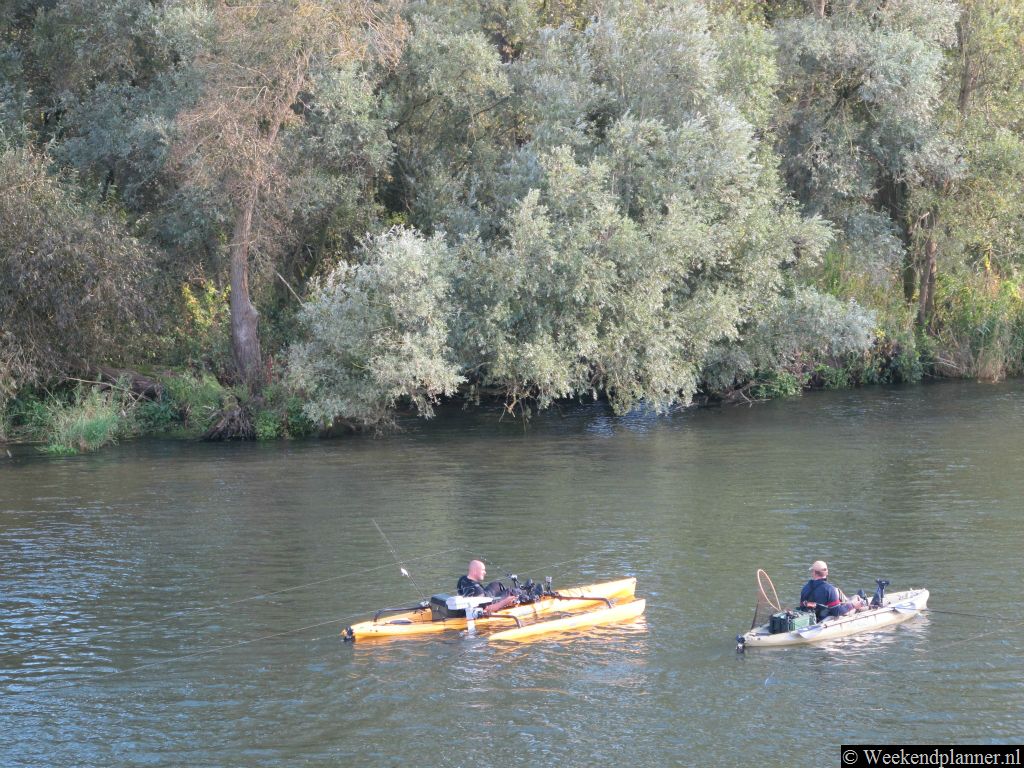 Met een vispas kun je ook in de Biesbosch vissen.Tips: Vissen in de Biesbosch.